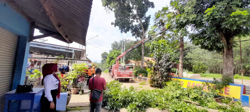 Berpotensi Jadi Bencana, Camat Dawuan Pangkas Pohon
