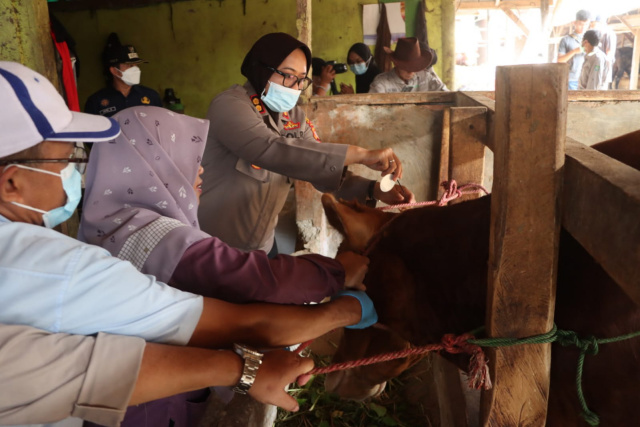 Ditemukan Yang Sakit.                 Kapolres Subang Monitoring Pasar Hewan dan Ternak Jelang Idul Adha 1444 H