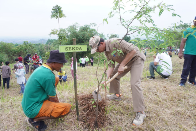 Peringati Hari Menanam Pohon Nasional, Subang Tanam Ribuan Pohon Asem dan Mahoni