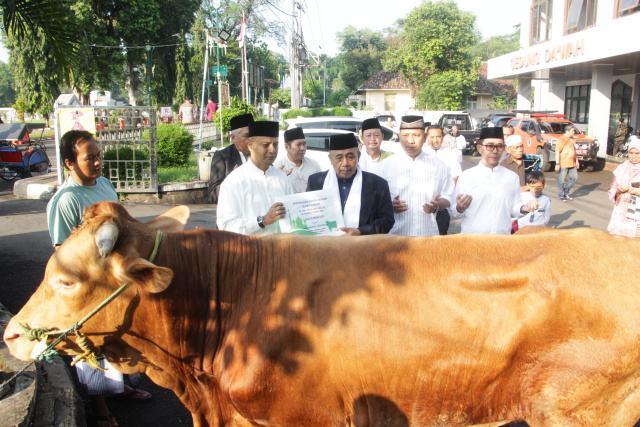 Dipusatkan di Masjid Agung Al-Musabaqoh. Pemkab.Subang Salurkan 5 Sapi dan 7 Domba