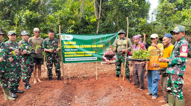 Dukung Ketahanan Pangan Nasional. Koramil 0508/Purwadadi Tanam Sayur dan Cabai di Sindangsari