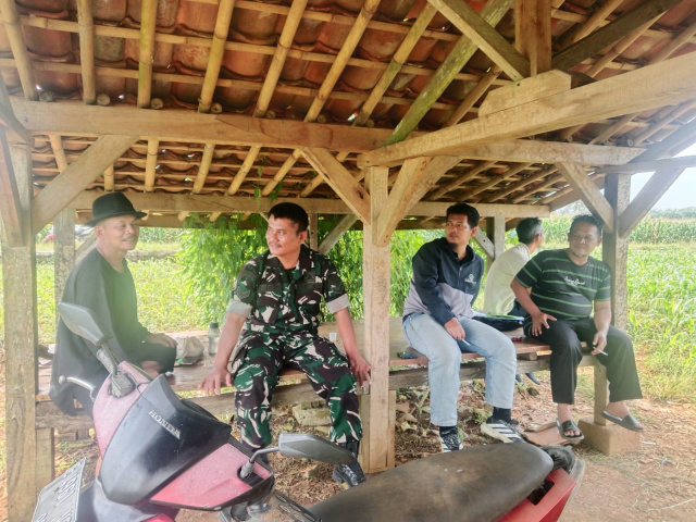 Perkuat Kemanunggalan TNI-Rakyat, Babinsa Koramil 0503/Kalijati Komsos Bersama Petani